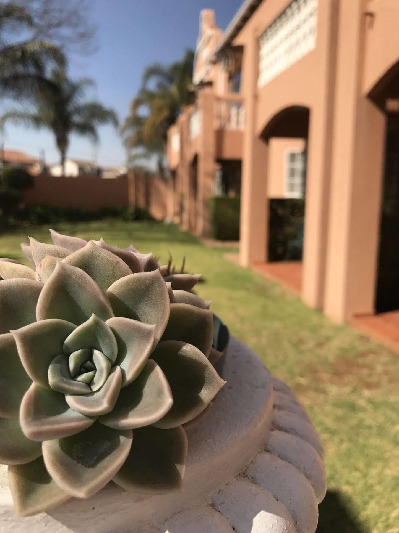 The Elegant Lodge Menlo Park Pretoria-Noord Kültér fotó